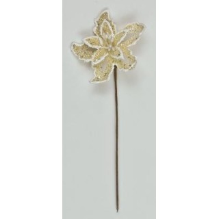 Stella natale plastificata con glitter col.Crema diam.5 cm…