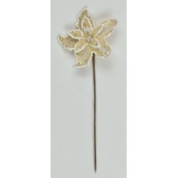 Stella natale plastificata con glitter col.Crema diam.5 cm