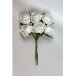 Mini rosa con semi bianca