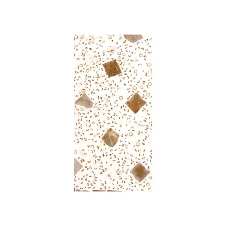 Lampada 17x17x17 cm  da tavolo in vetro mosaicata gold reflection