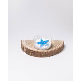 Porta candela mare margot 9 cm stella marina | CarinCasa