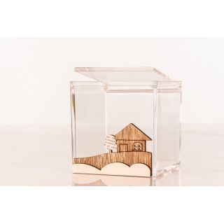 Cubo in plexiglass con casetta in legno