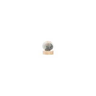 Sfera in vetro globo con filo e base legno
