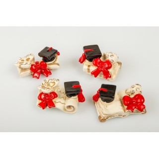 Simboli laurea assortiti | CarinCasa