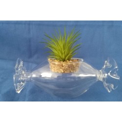 Caramella in vetro con piantina artificiale 12,5x6,3x4,8 cm.