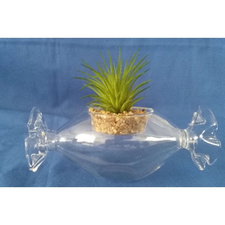 Caramella in vetro con piantina artificiale 12,5x6,3x4,8…