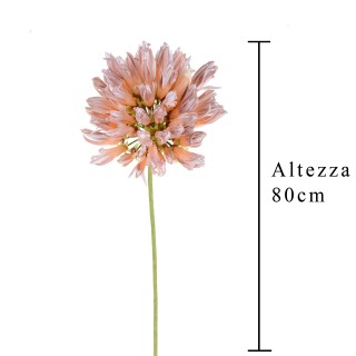 Agapantus colore pesca Peach cm 80 | CarinCasa