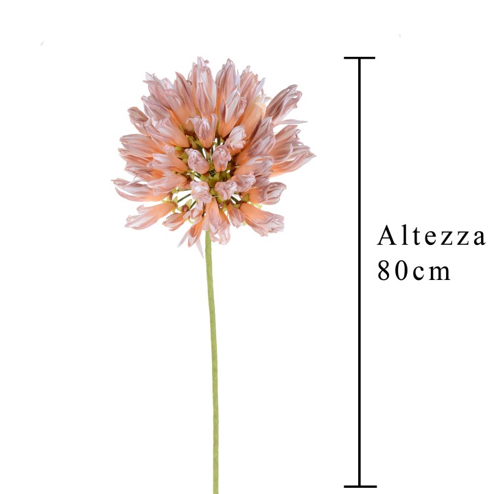 Agapantus colore pesca Peach cm 80 | CarinCasa