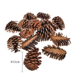 Pigne tagliate 11x9 cm 15