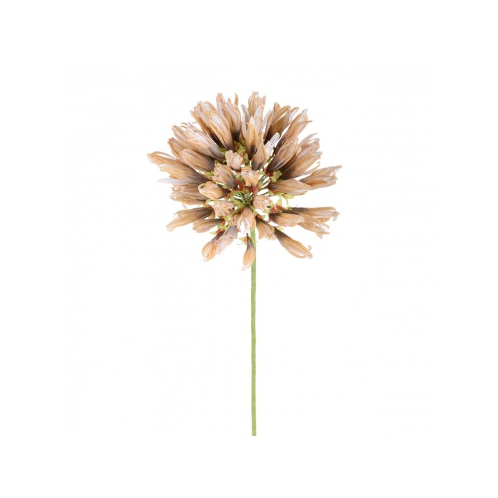 Agapantus 80cm. Senape | CarinCasa