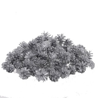 Pigne piccole 500 gr. | CarinCasa