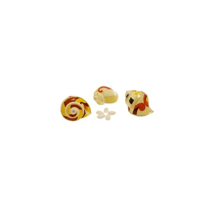 Conchiglie gr.3 ass. | CarinCasa
