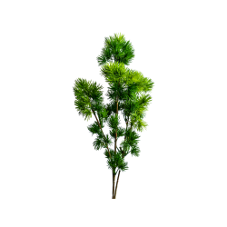 Needle pine green  - aghi di pino verdi 50 cm