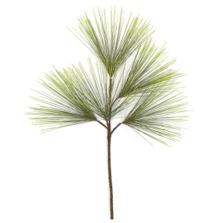 Hom 5314 needle pine spray x5 | CarinCasa