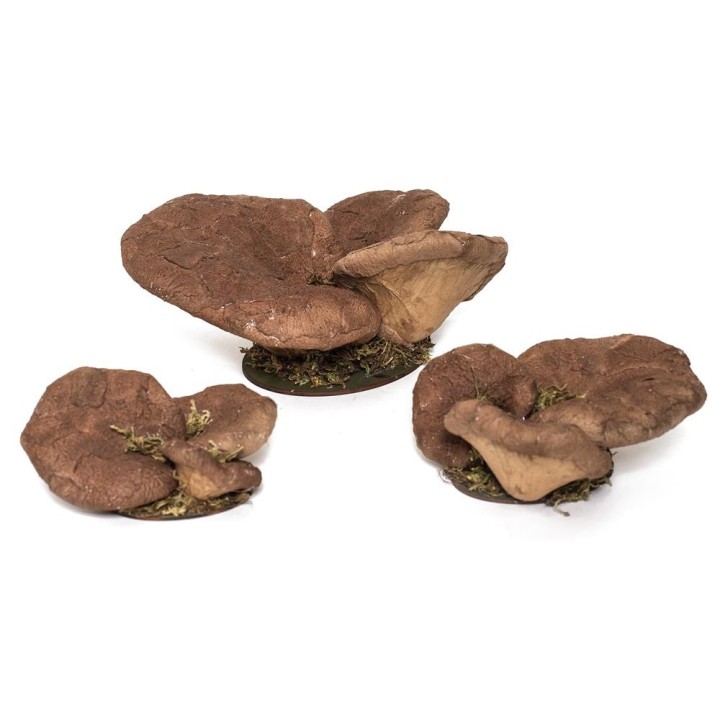 Fungo marrone 3 pezzi 22x19x9cm | CarinCasa