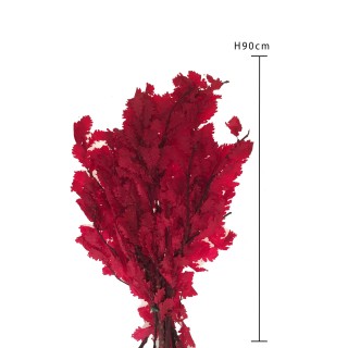 Querce comune Cm 90 rosso sbiancato | CarinCasa