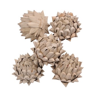 Cactus ball cm 10 | CarinCasa