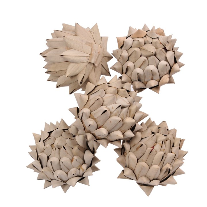 Cactus ball cm 10 | CarinCasa