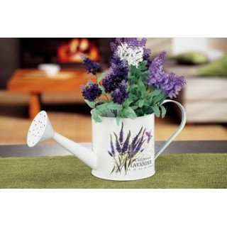 Annaffiatoio latta cm15x36xh15 | CarinCasa