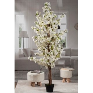 Ciliegio vaso x dec bianco d20xh200 | CarinCasa