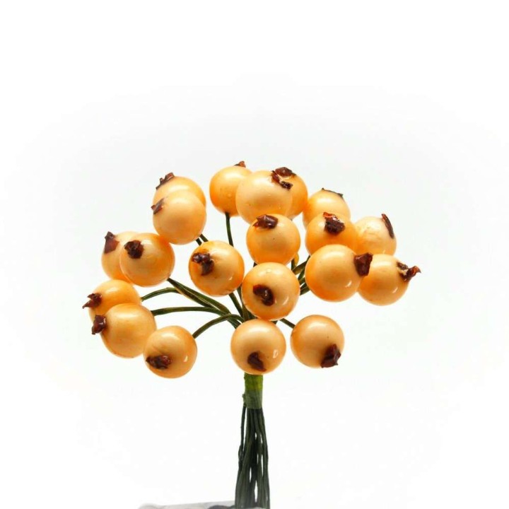 Bacca lucida med. Arancio bust.120 | CarinCasa