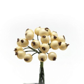 Bacca lucida med. Avorio bust.120 | CarinCasa