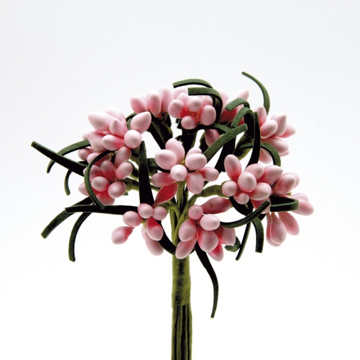 Pistilli lucidi rosa bust.144 | CarinCasa