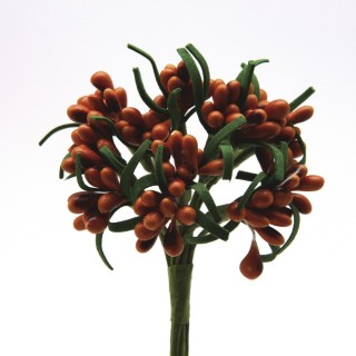 Pistilli lucidi arancio bust.144 | CarinCasa