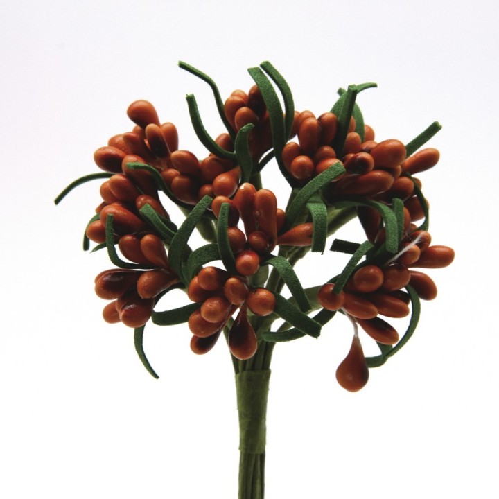 Pistilli lucidi arancio bust.144 | CarinCasa