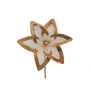 Stella nat. Org. Vell.gr. Conf.6 | CarinCasa