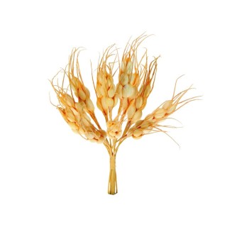 Spiga giallo cm 5 | CarinCasa