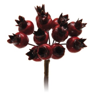 Melograno lucido rosso | CarinCasa