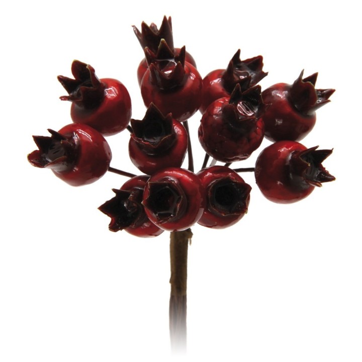 Melograno lucido rosso | CarinCasa