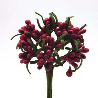 Pistilli lucidi rosso bust.144 | CarinCasa