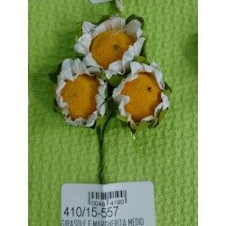 Girasole margherita medio avorio