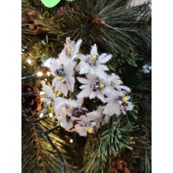 Pick stella alpina set da 4 pezzi