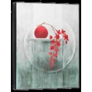 Quadro 4b 40 x 50 cm | CarinCasa