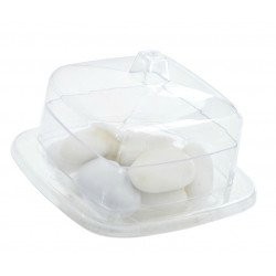 Scatola plex quad.c/cop. Cm.8