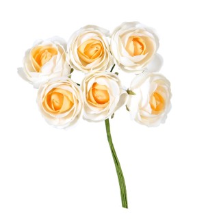 Ranuncolo crema cm,17 imb,72/216 | CarinCasa