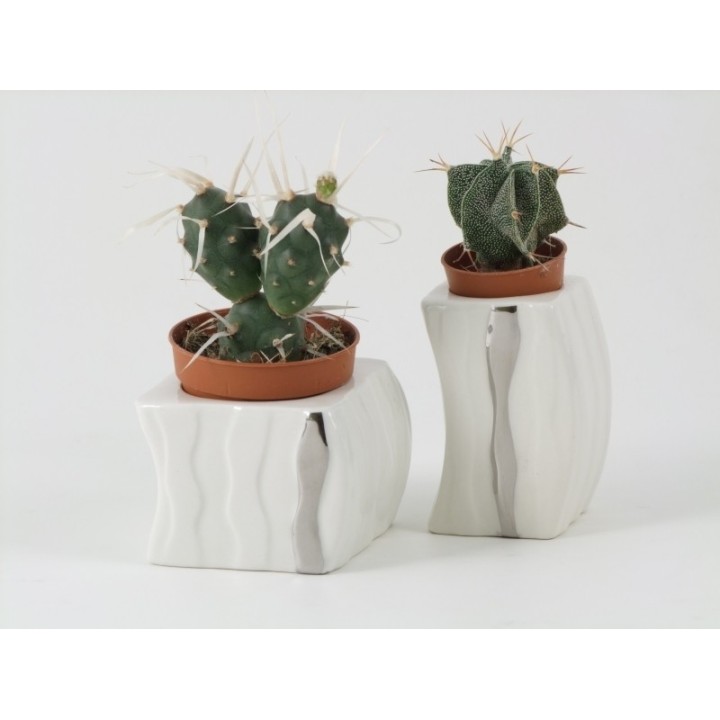Caspò in ceramica con strisce argentate