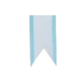 Nastro in organza azzurro cielo con bordo, 20 cm x 50 metri
