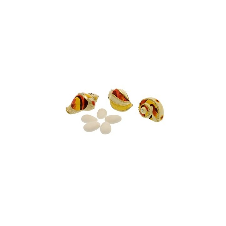 Conchiglie decorative in resina assortite, set da 3 pezzi