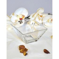 Ciotolina quadra coccinella 8 x 8 x 5 cm