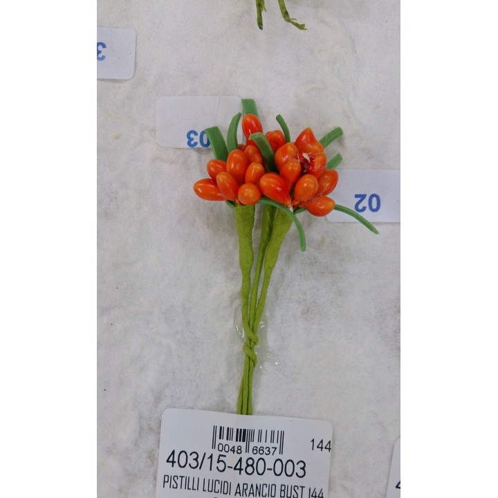 Pistilli lucidi arancio bust.144 | CarinCasa
