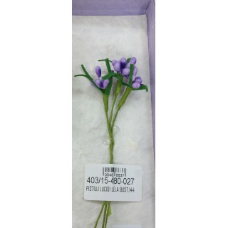 Pistilli lucidi lilla bust.144 | CarinCasa