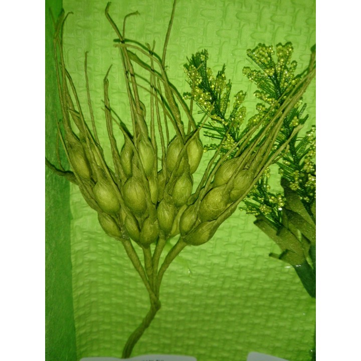 Spiga verde imb.144 | CarinCasa