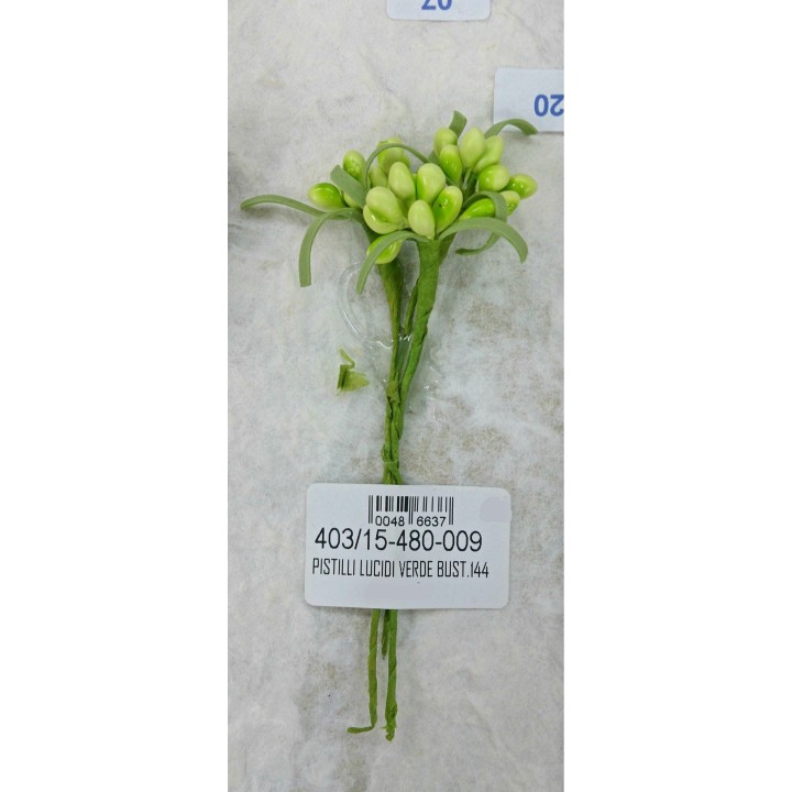 Pistilli lucidi verde bust.144 | CarinCasa