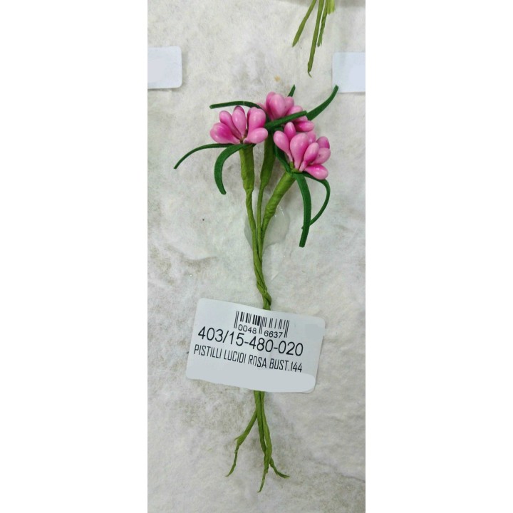 Pistilli lucidi rosa bust.144 | CarinCasa