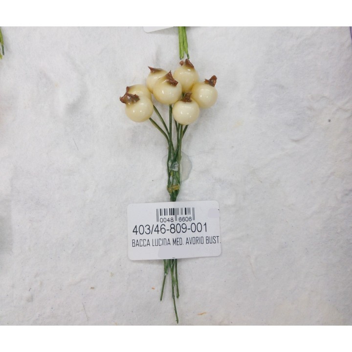 Bacca lucida med. Avorio bust.120 | CarinCasa
