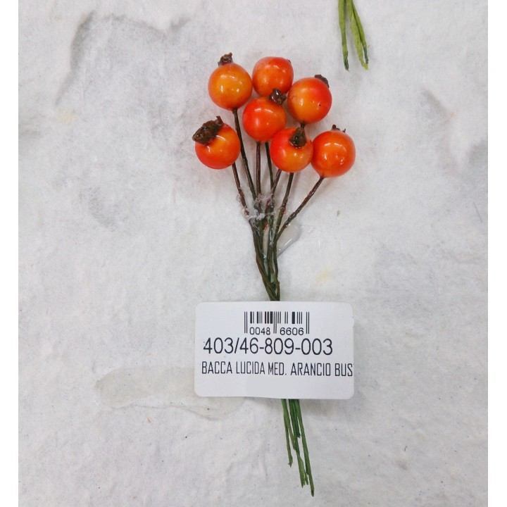 Bacca lucida med. Arancio bust.120 | CarinCasa